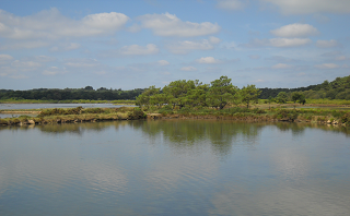 marais de pen en toul